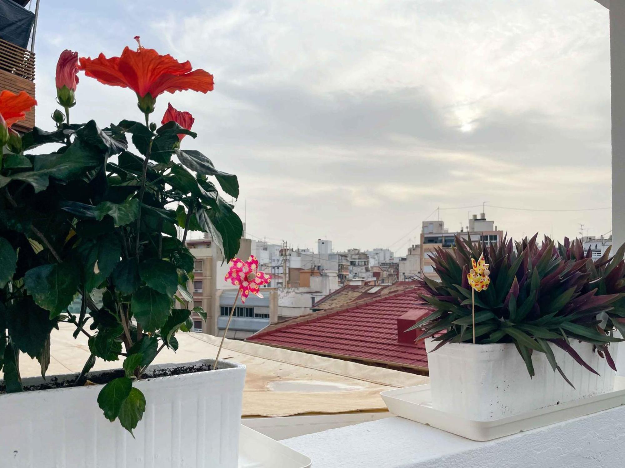 El Atico Del Mercado. Un Lugar Dificil De Olvidar. Αλικάντε Εξωτερικό φωτογραφία